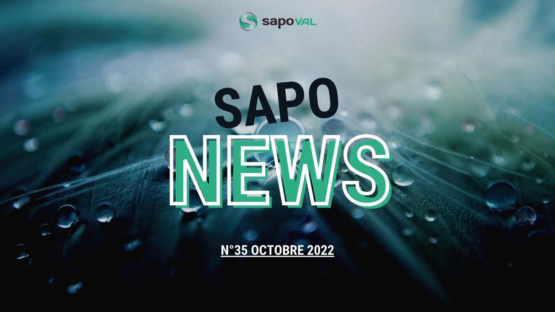 SAPO'NEWS N°35 - EDITO